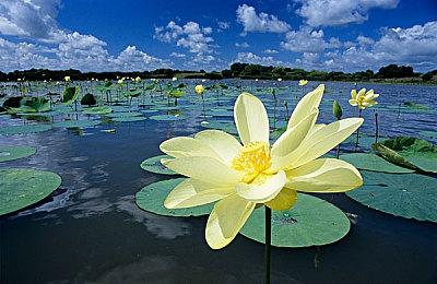 光谱资讯游戏《富甲天下5》Steam商店页面上线 8月10日发售