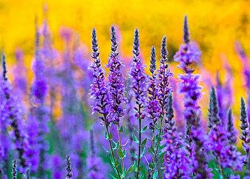 2014年上线IOS商店 数字滑块小游戏《Threes》Steam页面上线