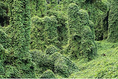 《最终幻想7：重制版》将是三部曲形式 不会删掉任何地点